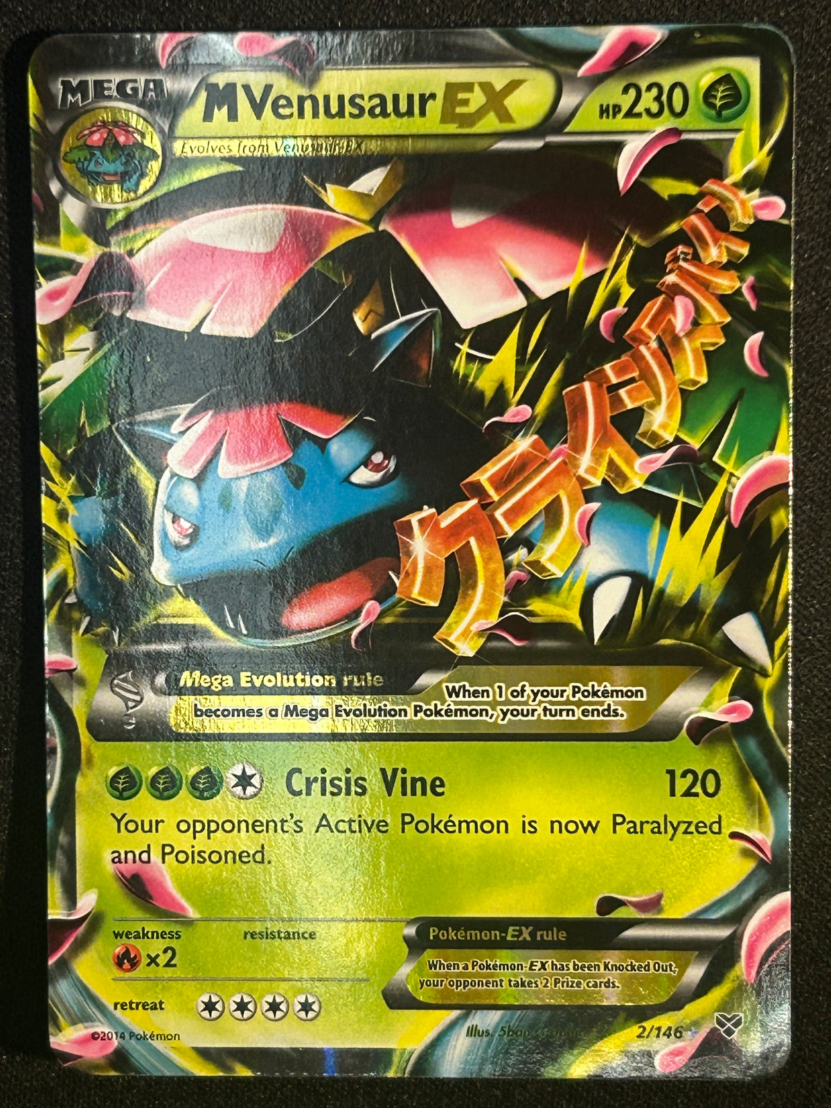 Mega Venusaur EX 2/146 LP